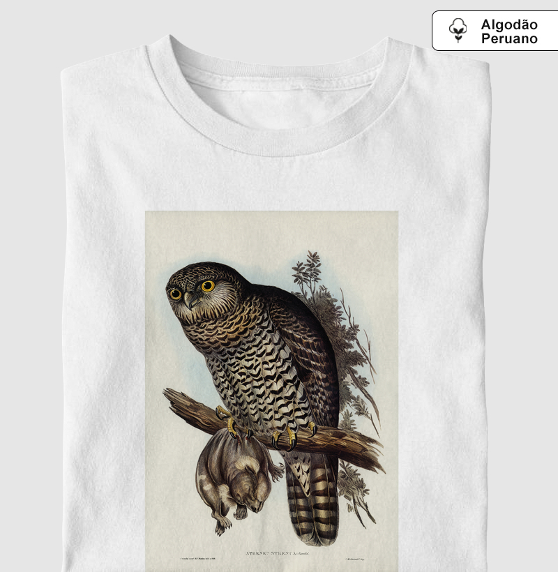 Powerful Owl