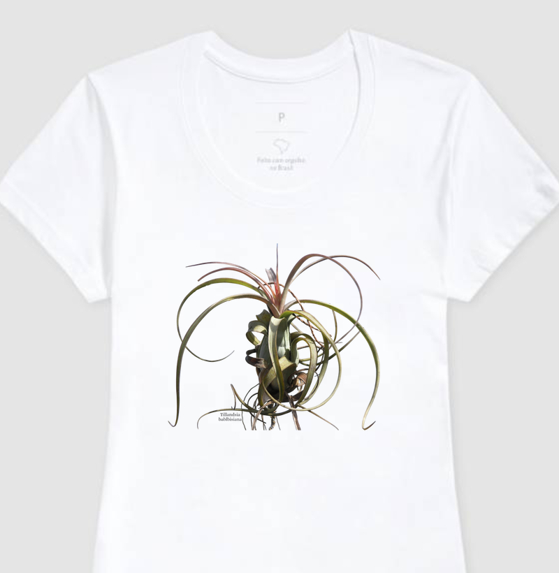 Camiseta Feminina Tillandsia balbisiana