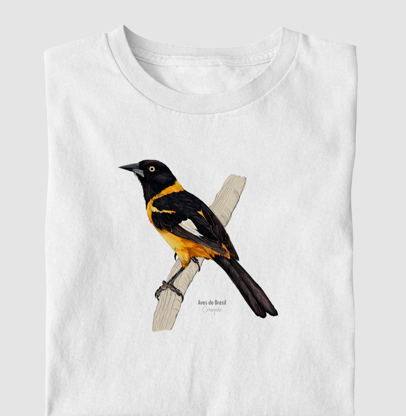 Aves do Brasil II - Corrupião