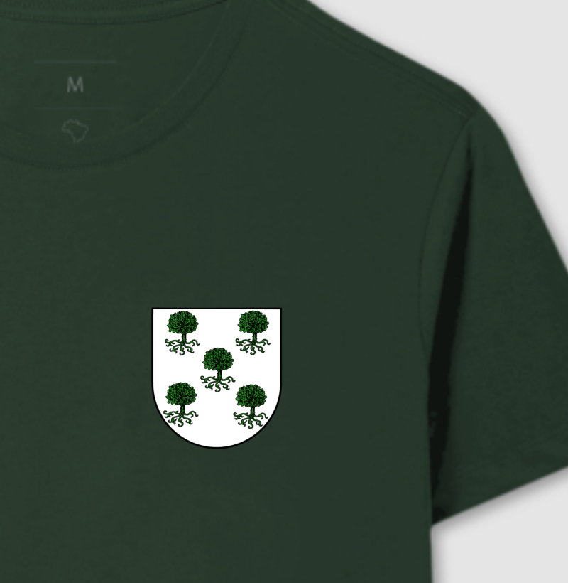 Brasão da Família Pinheiro Escudo