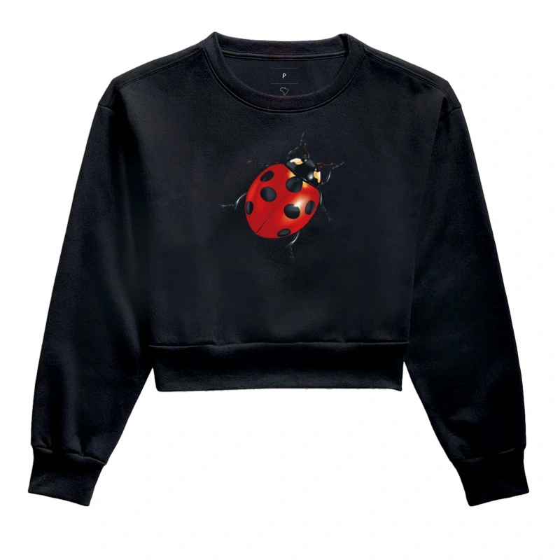ladybug