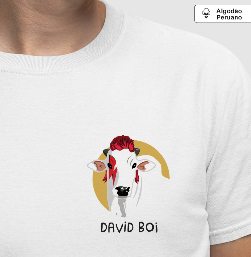 David Boi