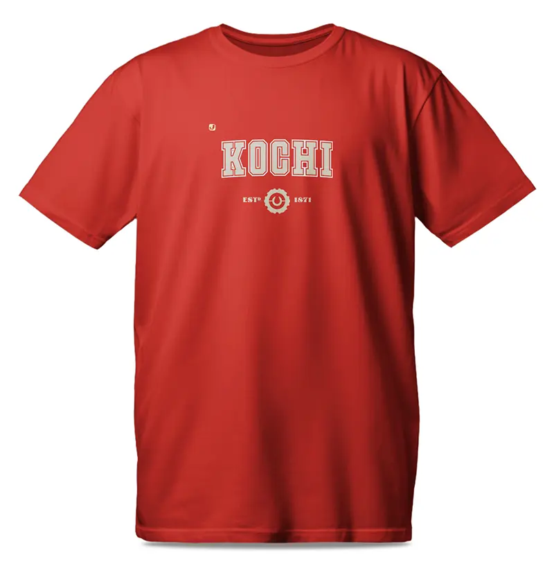 Província de Kochi