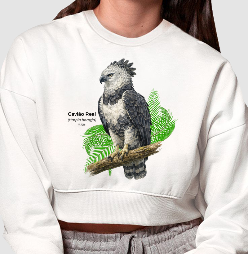 Gavião Real (Harpia harpyja)