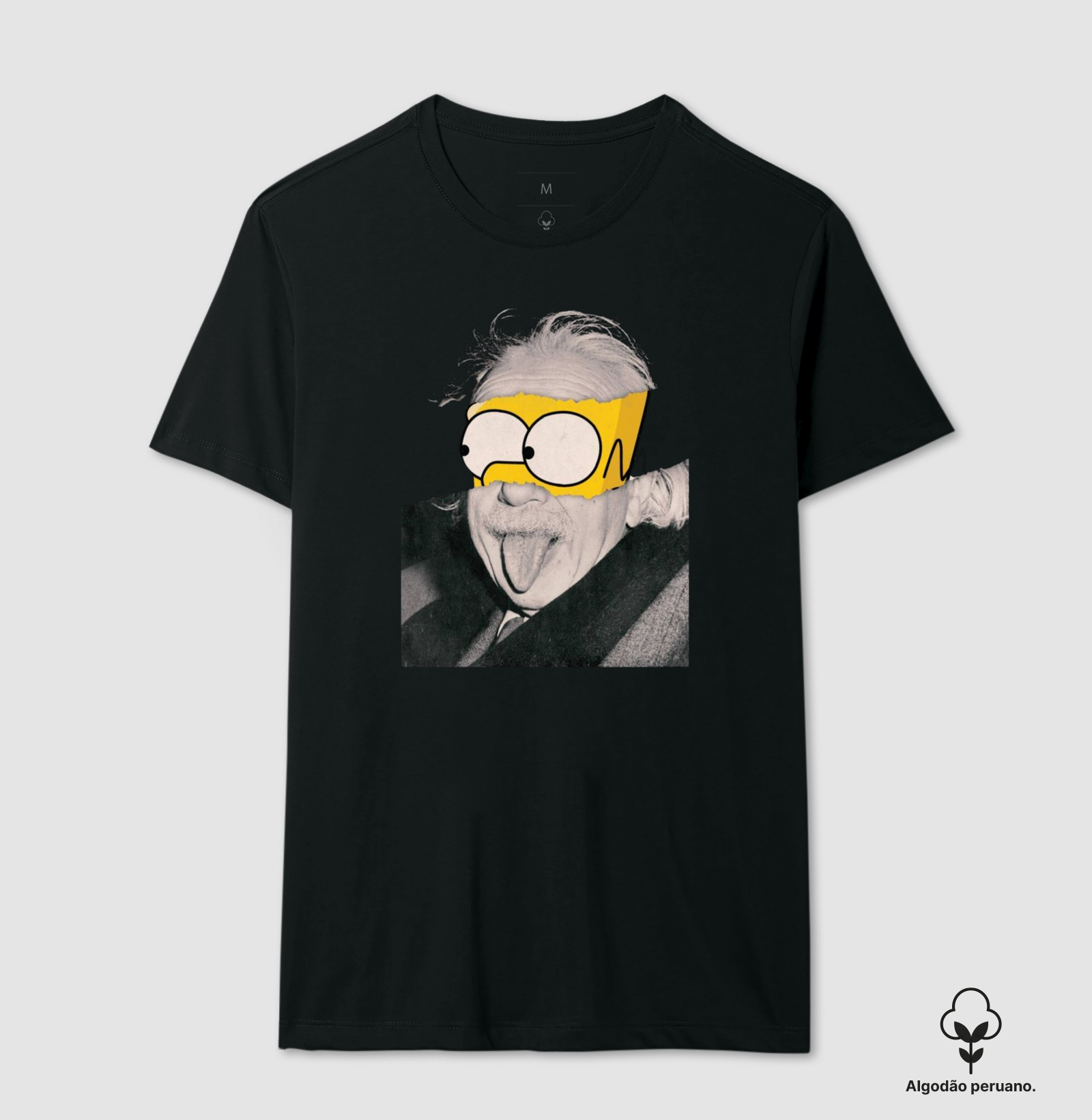 Homer Einstein