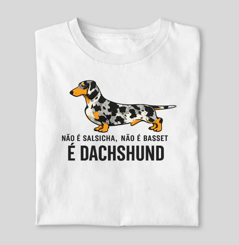 É dachshund 