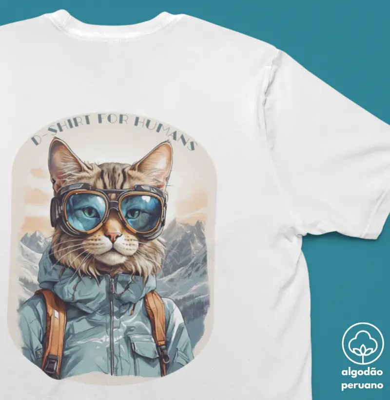 adventure cat