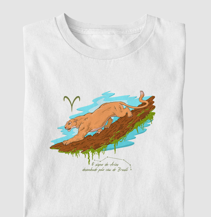 Áries pelo céu do Brasil