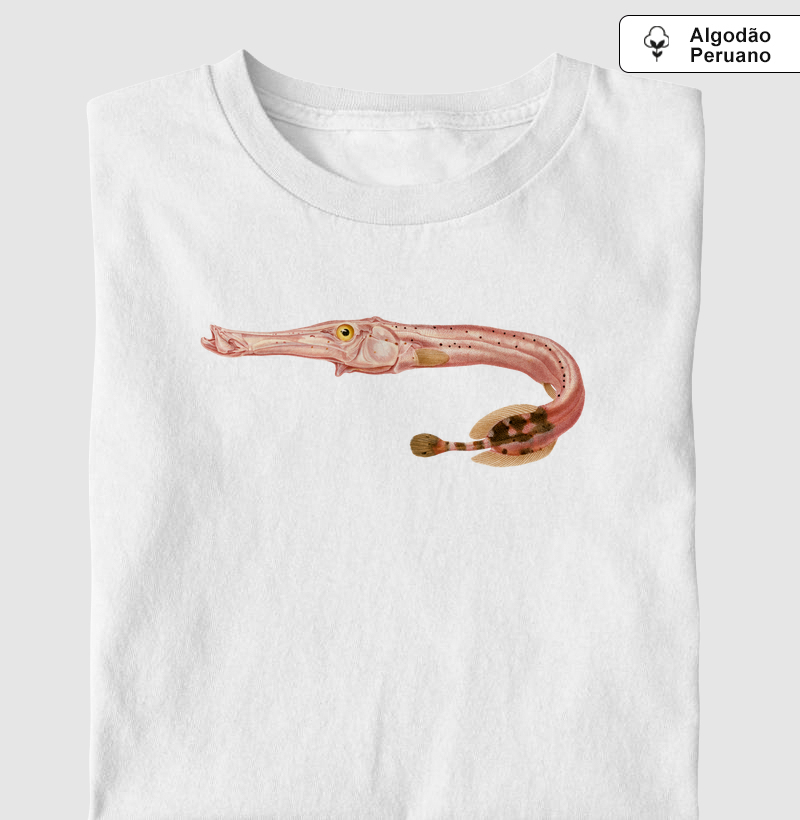 Peixe-trombeta