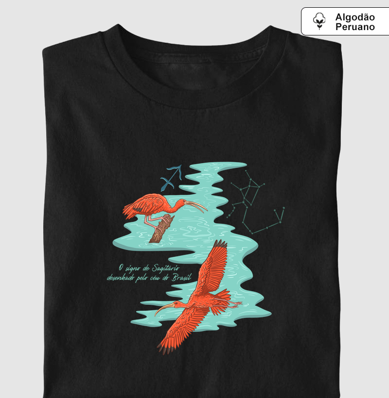 Sagitário pelo céu do Brasil