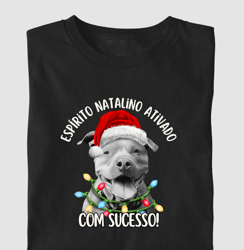 ESPÍRITO NATALINO ATIVADO COM SUCESSO!