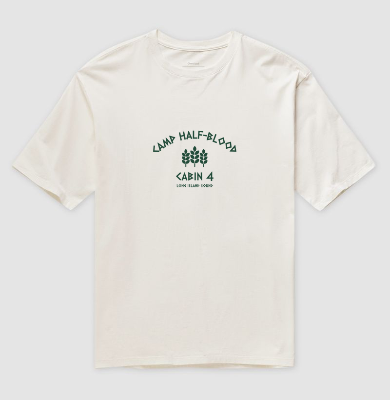 Camiseta oversized chalé 4
