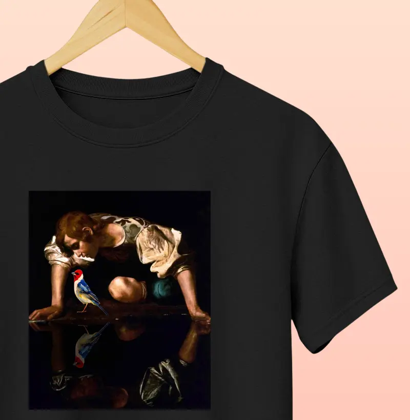 Narciso e o Galo-de-campina