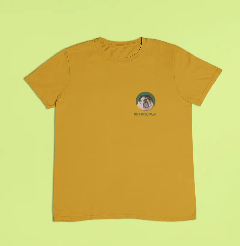 Aqui é Brasil pocket
