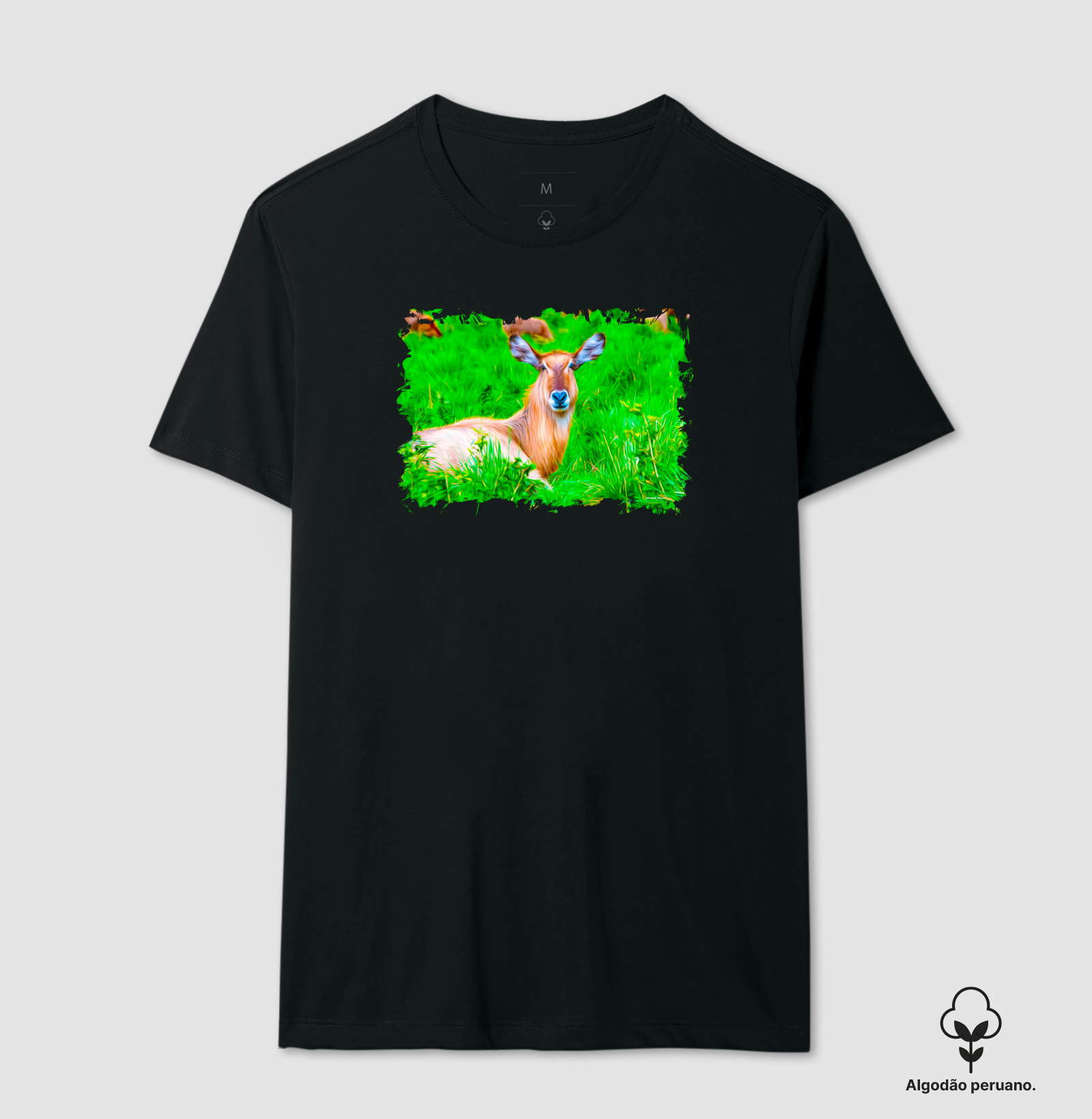 SAFARI PINTURA