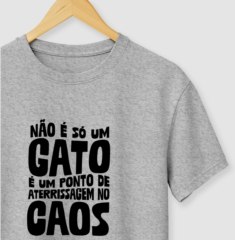 Não é só um gato, é um ponto de aterrissagem no caos