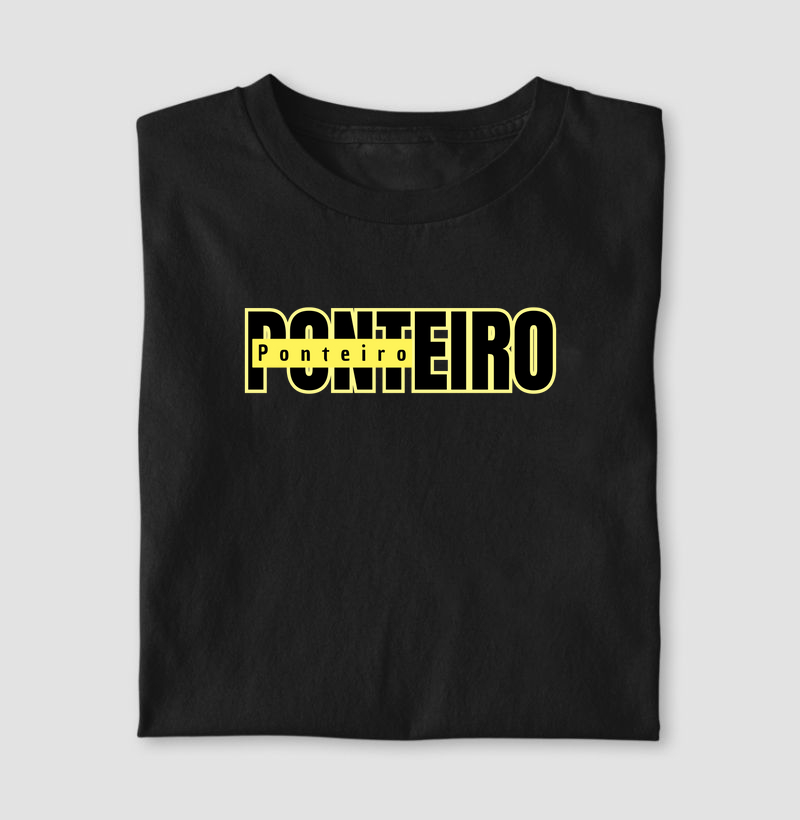 Ponteiro 2