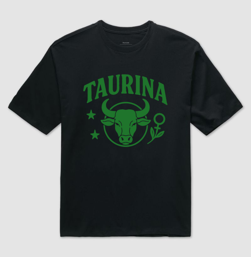 Touro III