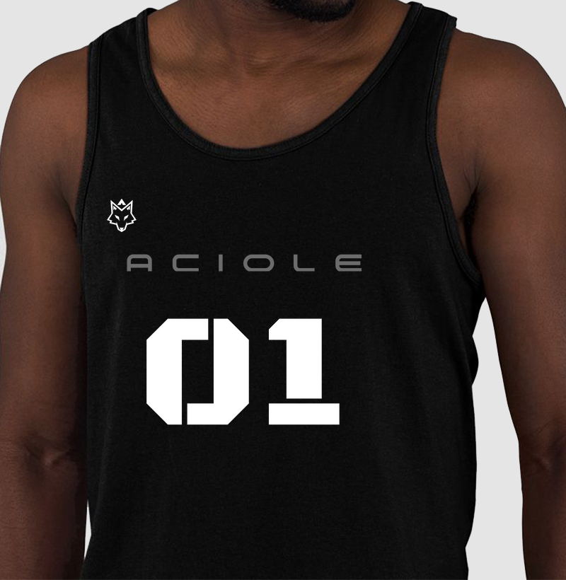 ACIOLE TEAM 01