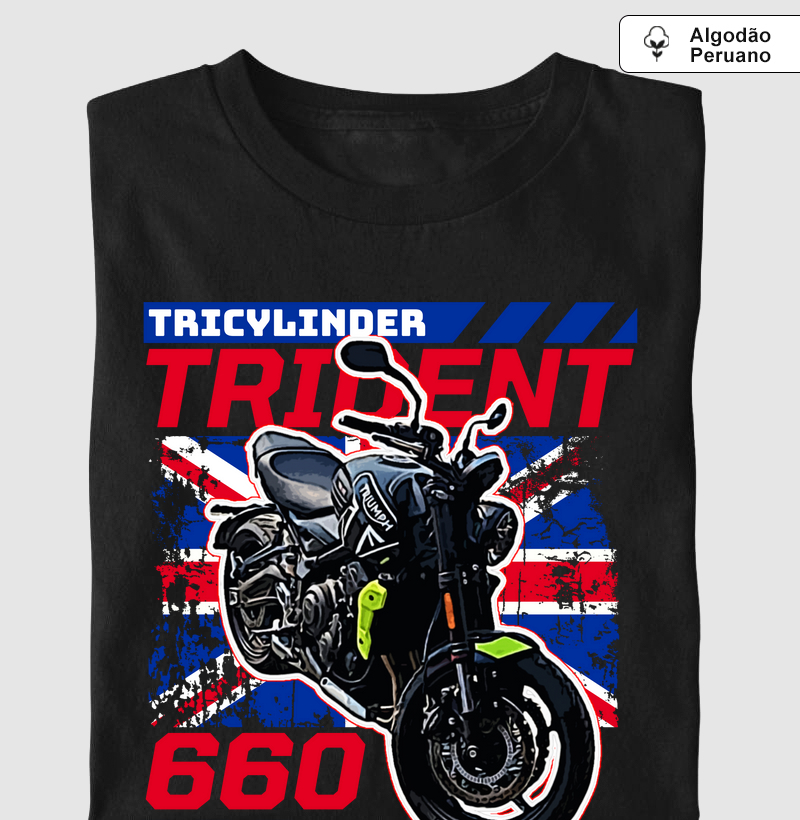 Trident 660