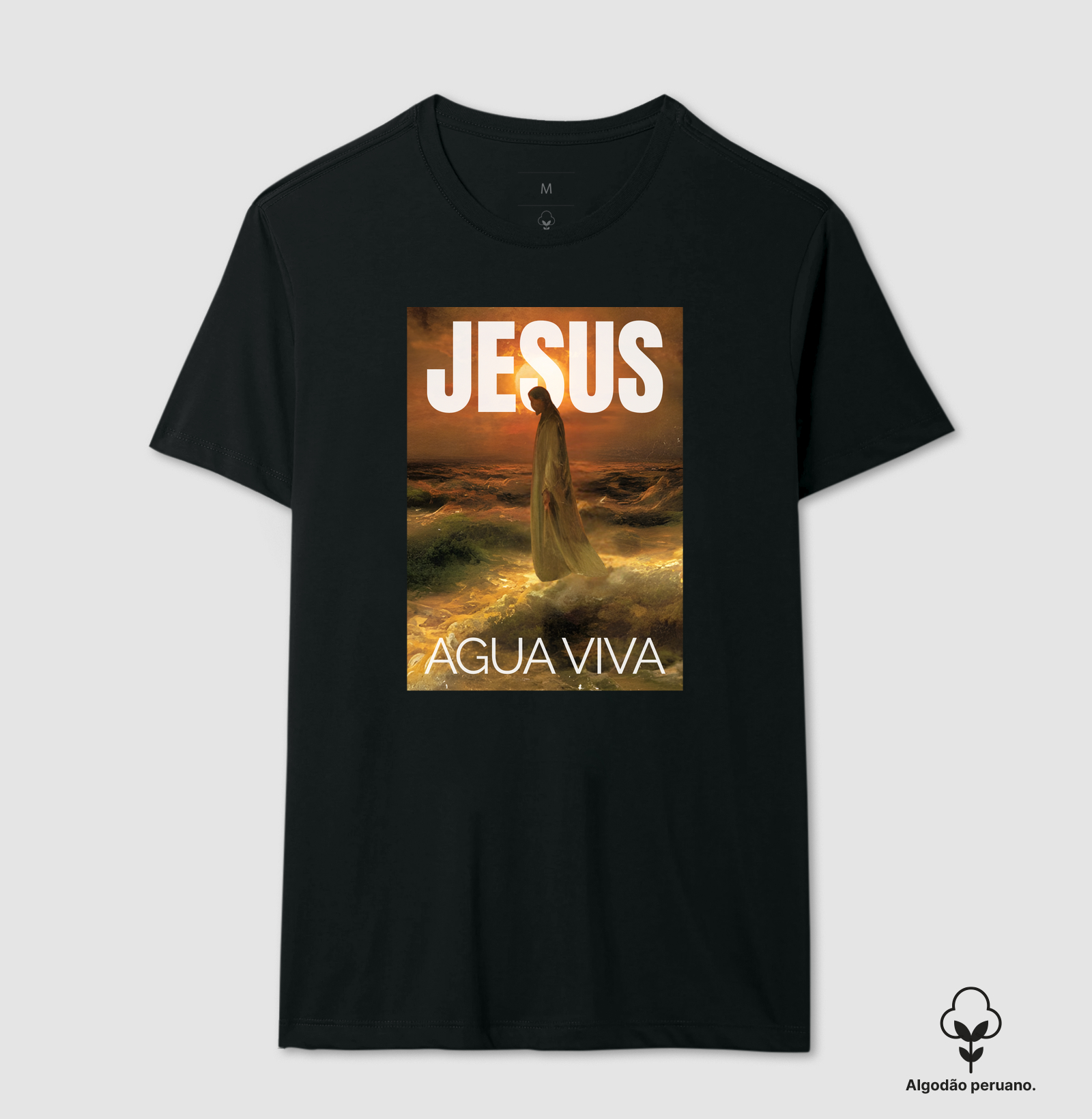 Jesus Água Viva