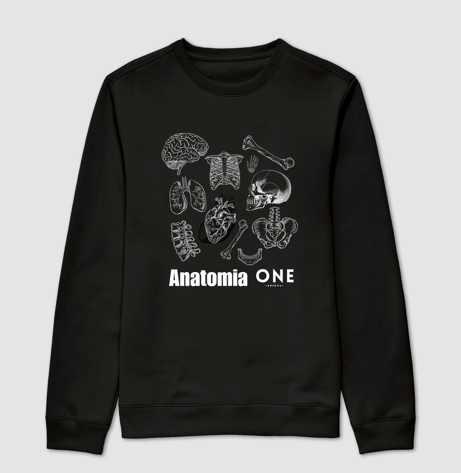 Anatomia Med