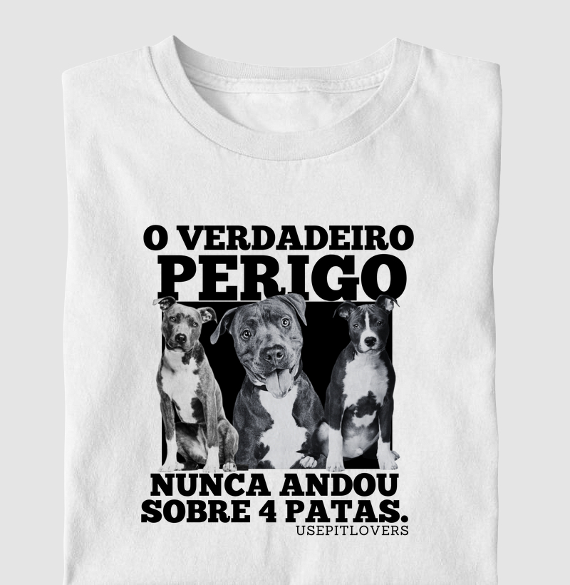 O VERDADEIRO PERIGO NUNCA ANDOU SOBRE 4 PATAS