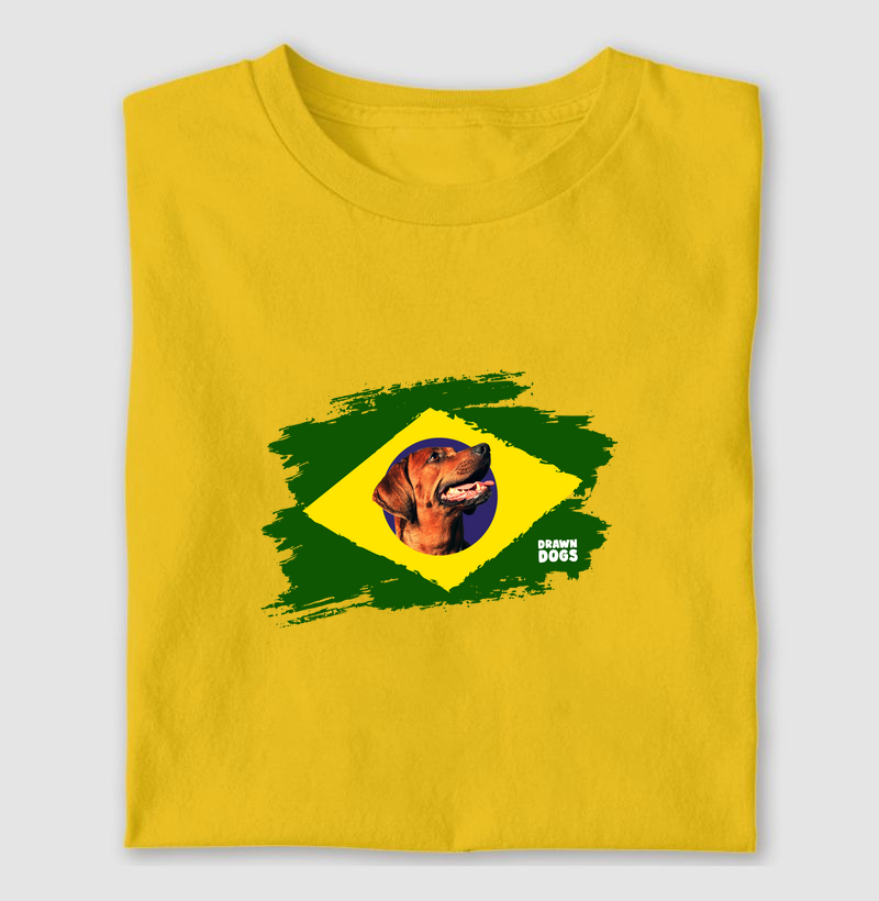 Bandeira Brasil e caramelo