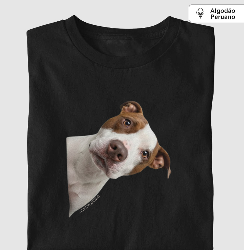 PITBULL NO CANTO CURIOSO