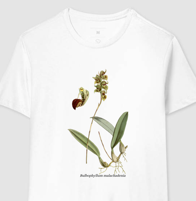 Camiseta Bulbophyllum malachadenia t-shirt