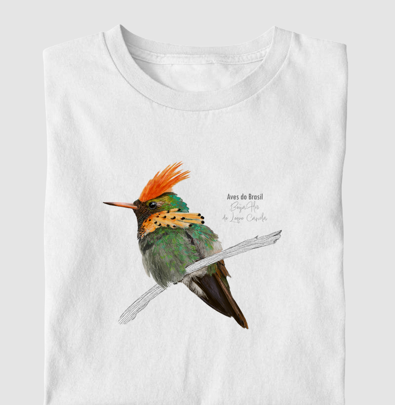 Aves do Brasil - Beija-Flor Leque Canela - Infantil