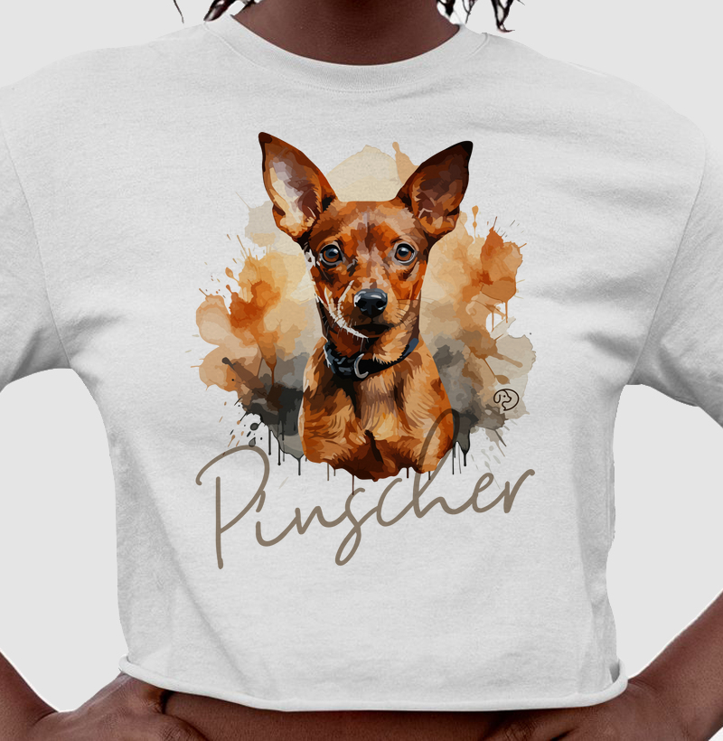 Pinscher Marrom Splash