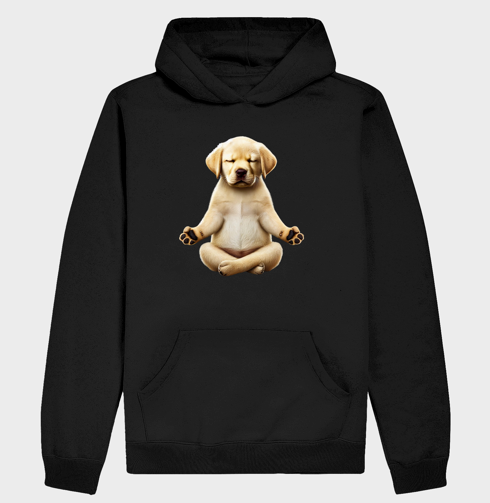 Labrador Meditando