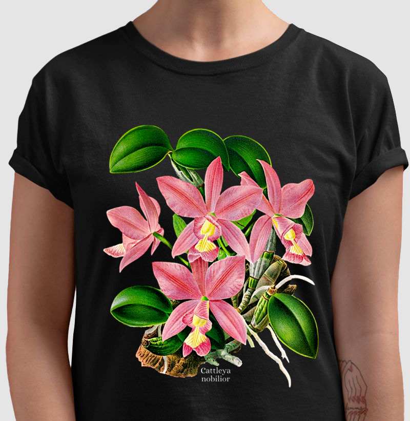 Camiseta Cattleya nobilior