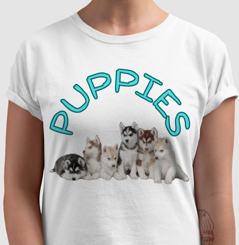 Husky puppies white