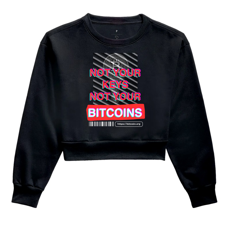 Not Your Keys Not Your Bitcoins