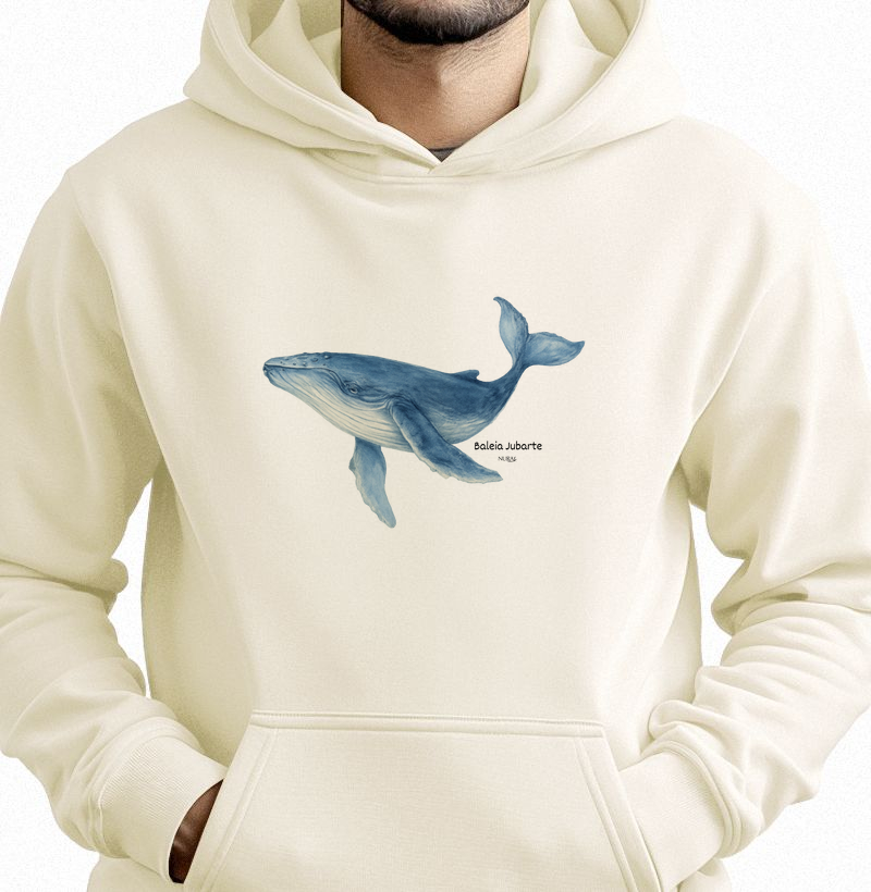 Baleia Jubarte