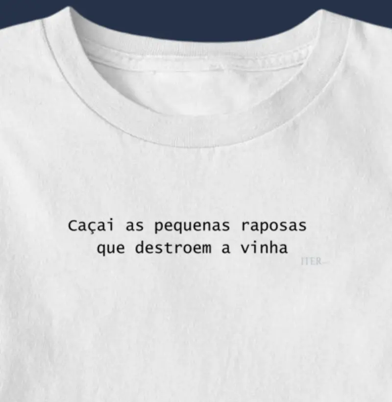 Raposas