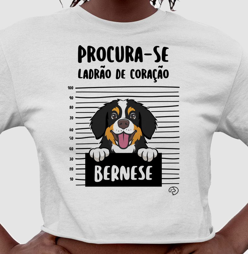 Bernese Ladrão de Coração