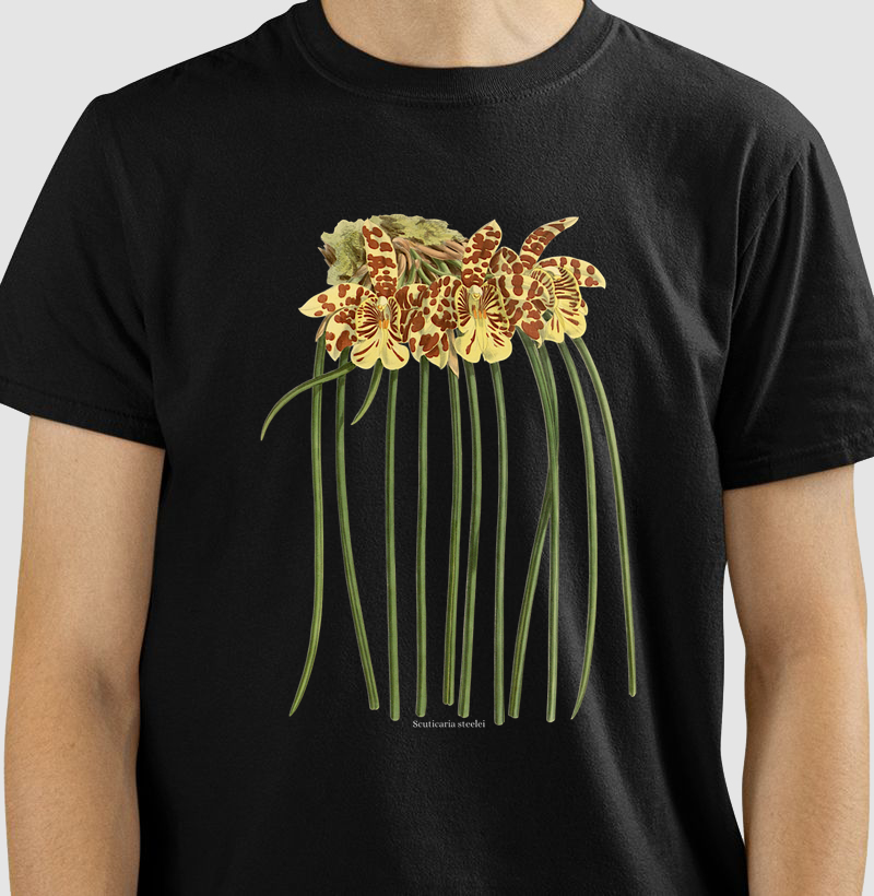 Camiseta Scuticaria steelei t-shirt