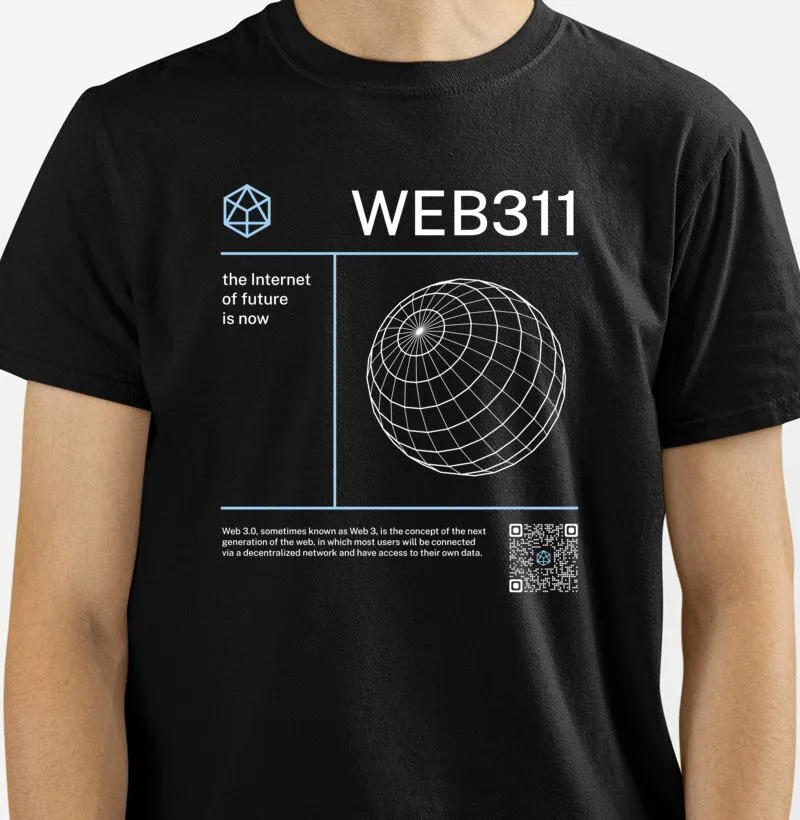WEB311