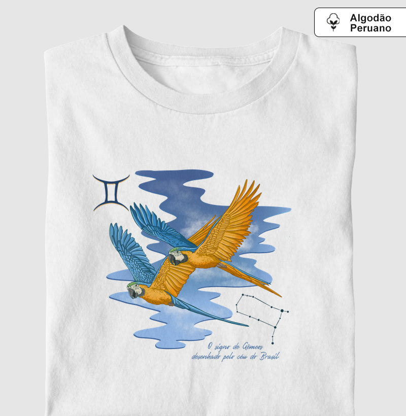 Gêmeos pelo céu do Brasil