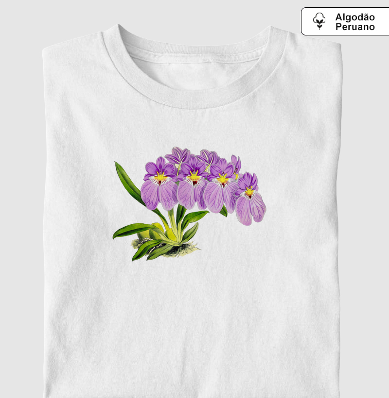 Purple Pansy