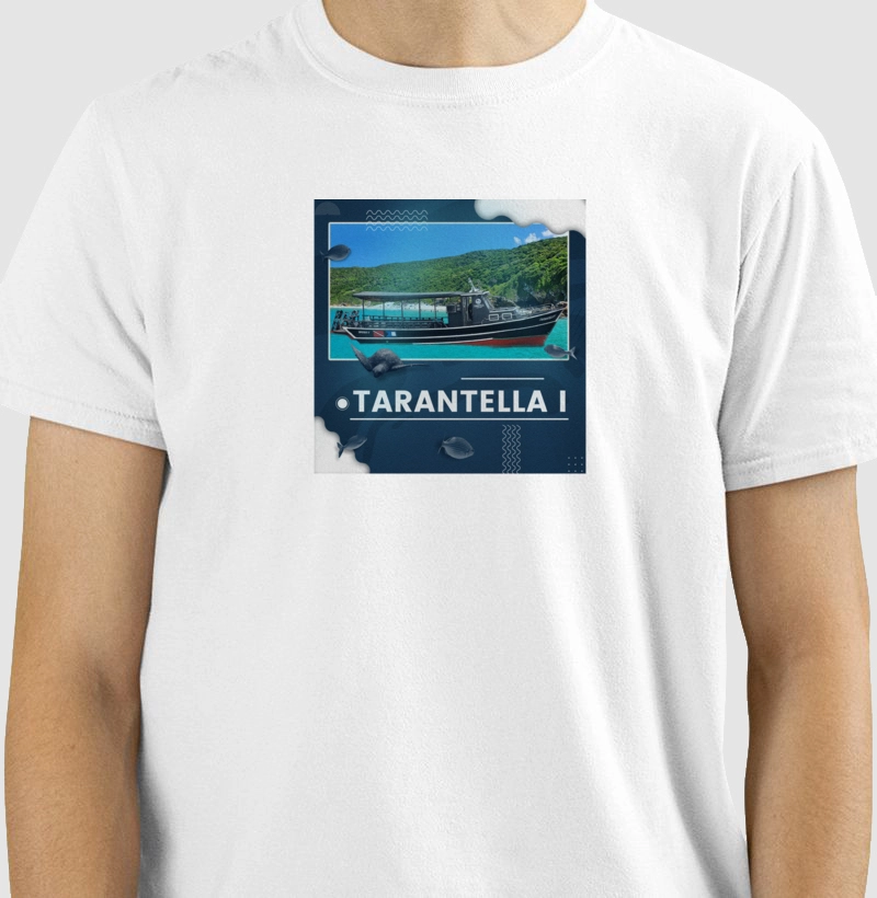 Barco Tarantella 1