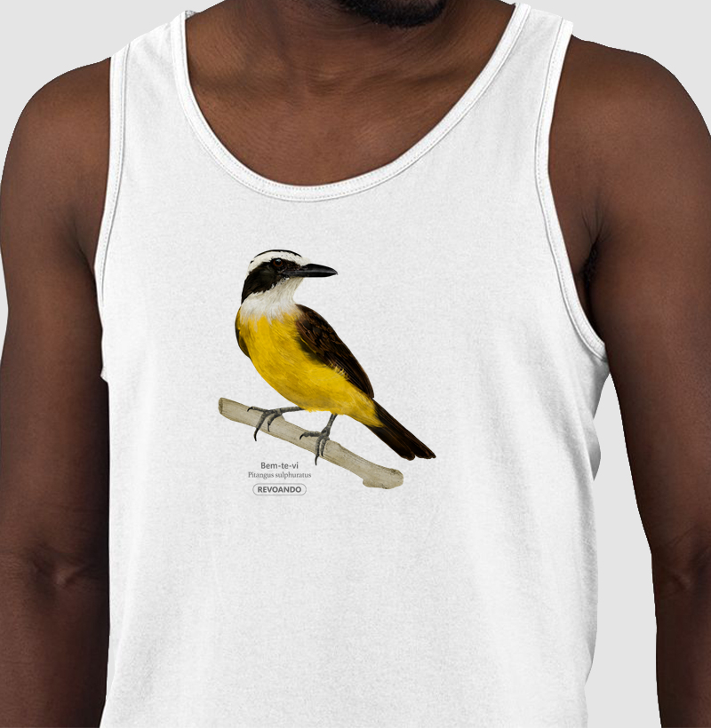 Aves do Brasil - Bem-te-vi - Regata