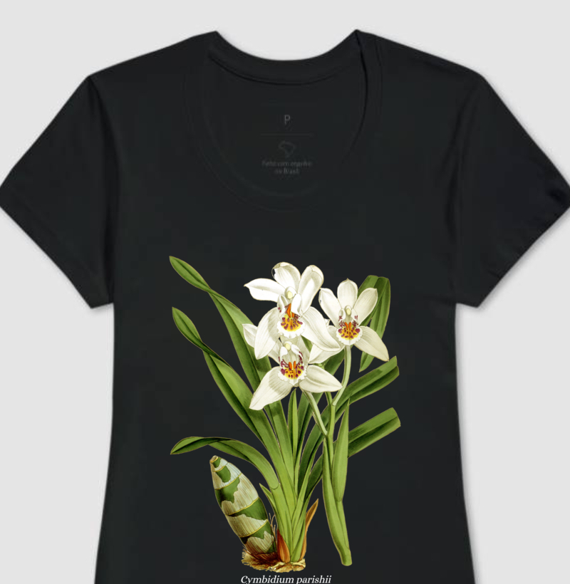 Baby Look Cymbidium parishii