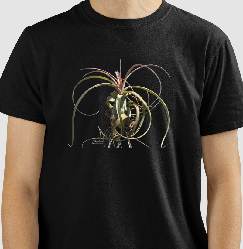 Camiseta Tshirt Tillandsia balbisiana
