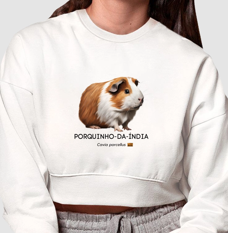 Porquinho-da-índia