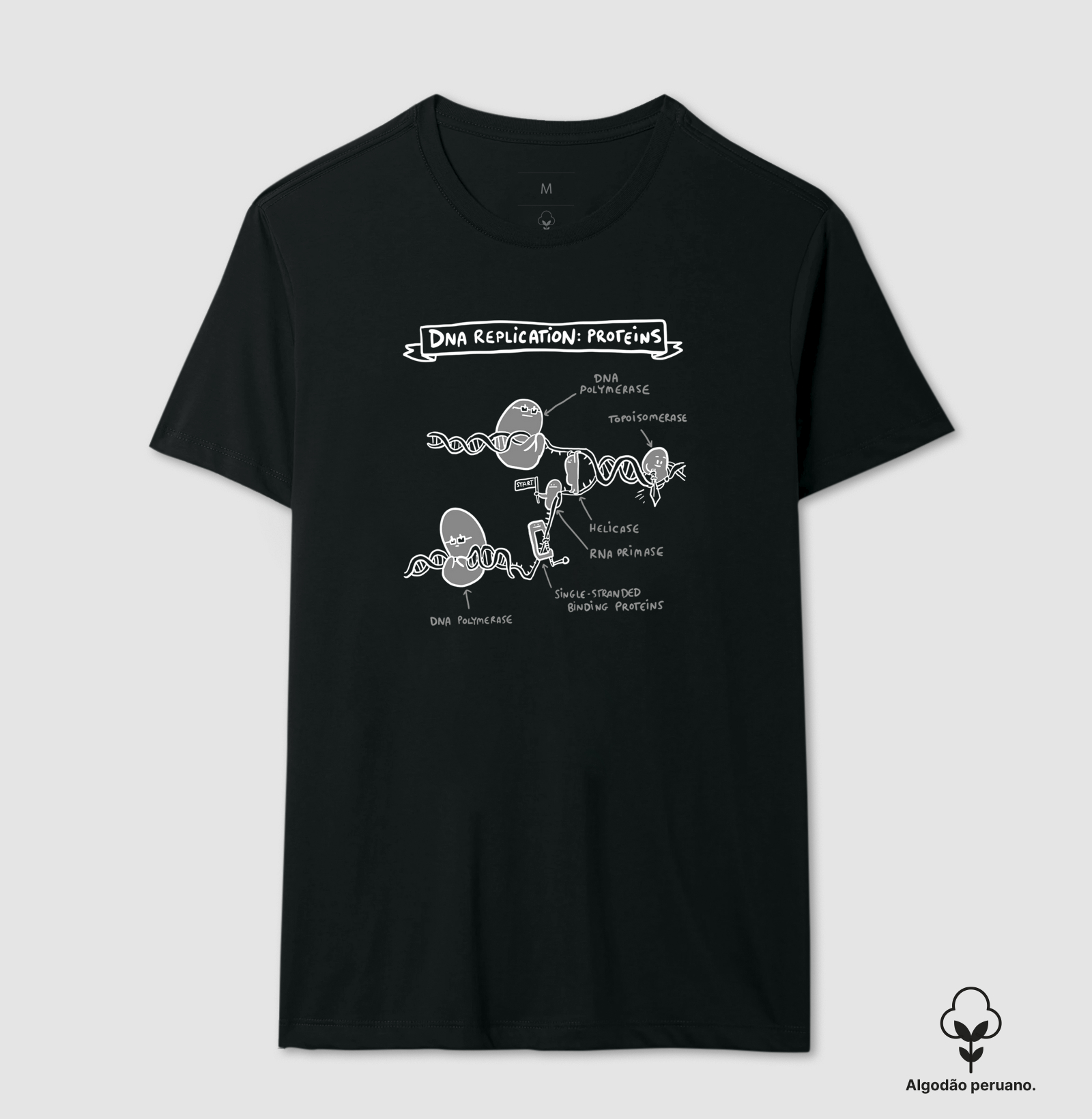 Camisa DNA Replication