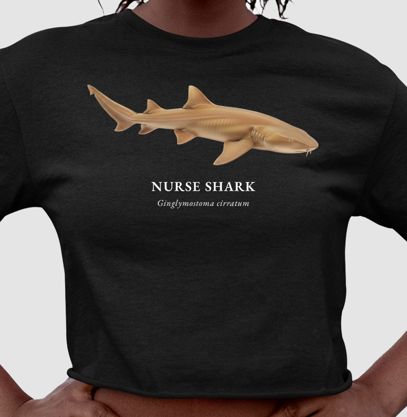 Nurse Shark